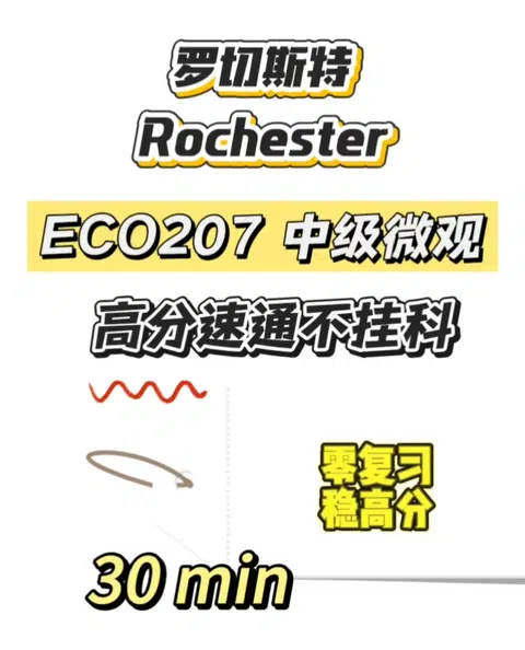 罗彻斯特线下final救星来啦❗爽拿高分❗ · 内容配图 1