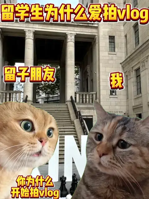 留学生为什么爱拍vlog？ · 封面
