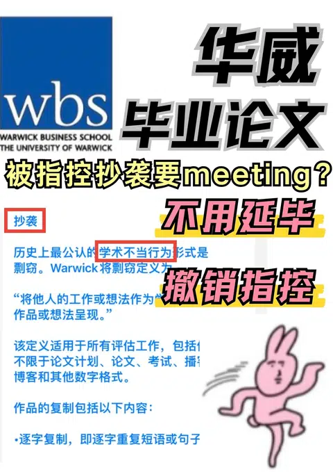 华威毕业论文整成学术不端了！不想延毕寻求团队支持 · 封面