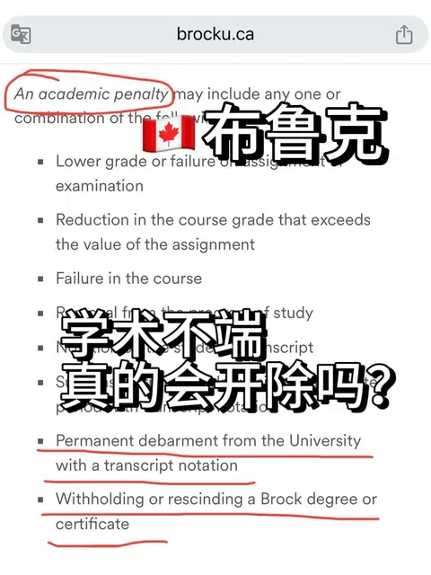 布鲁克考试带小抄被记id，我不会被退学吧？ · 封面