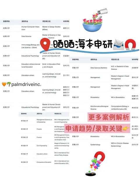 海本身份已经不够用了 · 内容配图 1