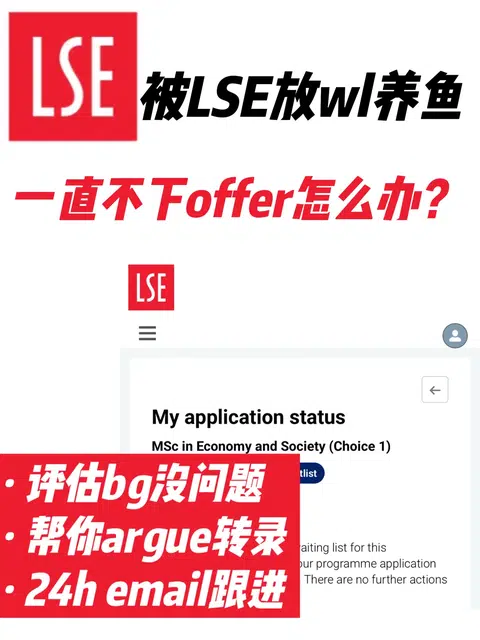被LSE养鱼放wl？已经有人argue到转正offer了 · 封面